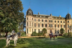 Jerez: Royal Andalusian School of Equestrian Art Admission