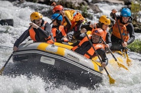 Hálfs dags rafting á Paiva ánni í Arouca