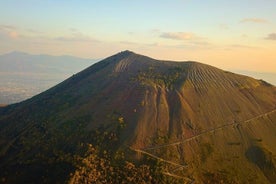 Naples: Mount Vesuvius Fast Track Ticket with Shuttle Service 