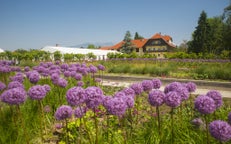 Hotel e luoghi in cui soggiornare a Kamnik, Slovenia