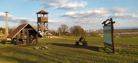 Hošťálkovice observation tower