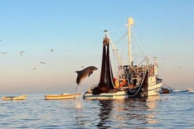 Private Sunrise Dolphins & Fishermen at Work boat tour in Rovinj