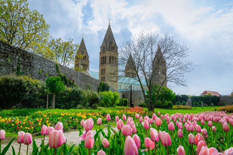 photo of view of Hungary, Pécs city center blooms in April.