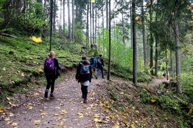 Caminhada de aventura no Parque Nacional de Gauja - 7 dias