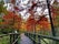 Autumn landscapes in the Arboretum in Bolestraszyce