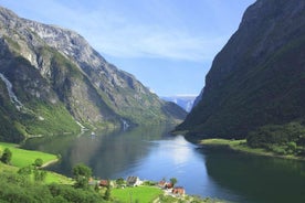 Visita guiada privada a Oslo: crucero por el fiordo de Nærøyfjord y tren de Flåm