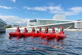 Visite de la rivière Akerselva