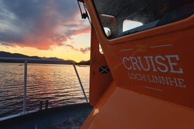 Evening Cruise in Scotland