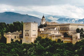 VIP Segway Tour of Granada: Tutustu kaupunkiin tyylillä