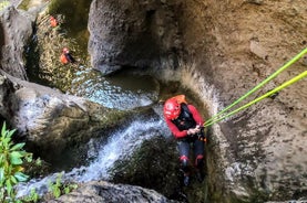 Radikal aktivitet og adrenalin i Santa Cruz de Tenerife med guide