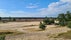 Loonse en Drunense Duinen, Drunen, Heusden, North Brabant, Netherlands