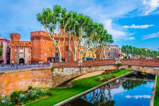 Photo of the Canal and Castle of Perpignan in springtime, Pyrenees-Orientales, France.