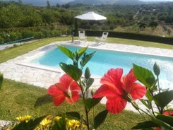 Casa del Poggio Barone - Limone