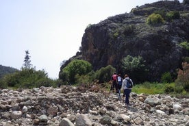 Intro à Xeros Potamos Valley & Vouni Panagias Walk (privé de Nicosie)