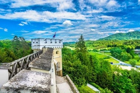 Castelo de conto de fadas e deliciosa degustação de vinhos e almoço