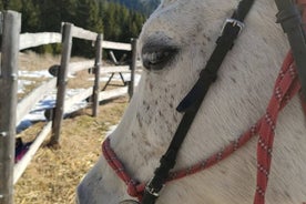 Balade à cheval dans la vallée des roses dans l'esprit thrace