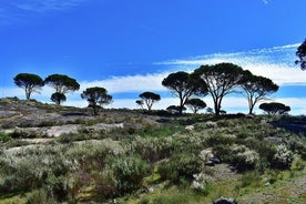 Det arkæologiske kredsløb Fiais/Azenha og Cova da Moira