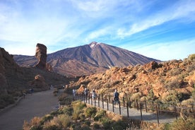 小グループでテイデ国立公園の火山と森林の驚異を満喫