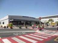 Minivan rental in Ciampino, Italy