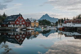 Lofoten Scenic Sightseeing Tour: Half day tour