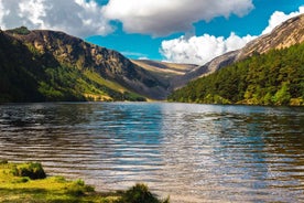 From Dublin: Half-Day Trip to Glendalough and Wicklow