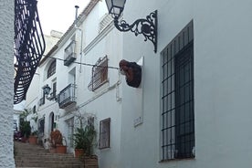 Excursion to Guadalest, Altea and entrance to the Fuentes del Algar