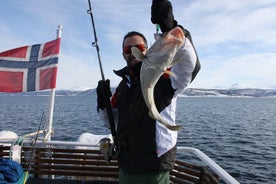 Aventure de pêche polaire au départ de Tromso