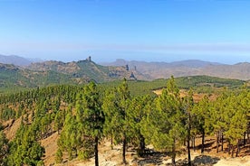 Visite privée de 7 heures des volcans et de la région viticole des îles Canaries