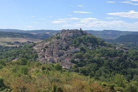 Excursion privée d'une journée à Albi et Cordes sur Ciel au départ de Toulouse