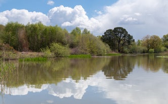 Southampton Common