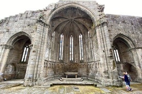 Tour pomeridiano a piedi a Pontevedra