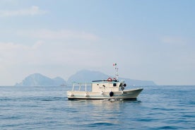 Angeln und Tourismus in Capri