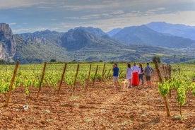 Rioja Som En Native Wine Tour