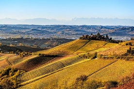 Radda in Chianti: Tour con degustazione di vini e pranzo al castello