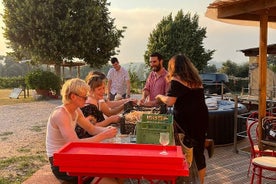 Visite des vins toscans à Pise en navette