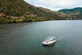 Valley of the Douro: Private Tour Electric Boat 1h With Wine Tasting