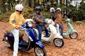 Vespa Primavera 24 Hour Rental in Madeira