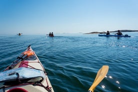 Tour dell'arcipelago di Stoccolma in kayak