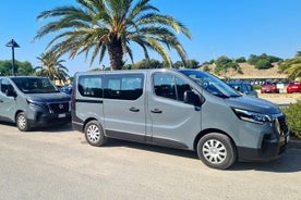 Traslado desde la ciudad o puerto de Trapani al aeropuerto de Palermo.