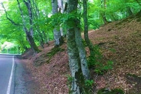 Paquete turístico de 3 días / 2 noches al Parque Nacional Vashlovani en Georgia