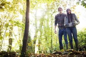 Visite privée d'une journée complète dans la Forêt-Noire de Baden