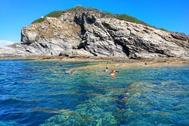 エルバ島でのシュノーケリングと水泳の半日