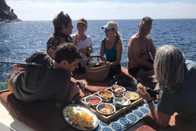 Small Group Boat Whale and Dolphin Watching Tour