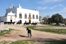 Masseria Tagliente