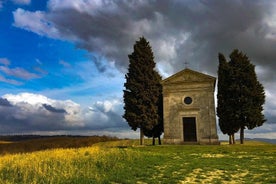 Brunello and Montepulciano Wine Tour from Cortona