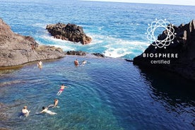 Porto Moniz Lava Pools, Fanal Forest och Skywalk 4x4 Experience