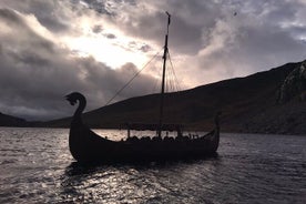 Visite à pied du quartier viking/médiéval de Dublin avec un Viking