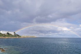 Top-Rated Walking Tour of Scenic Coastal Dublin (Dun Laoghaire)