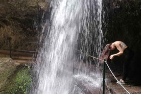 From Funchal: Wet your hair in the amazing Moinhos Levada