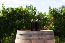Wine making tours